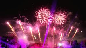 Pink and purple fireworks against a black sky