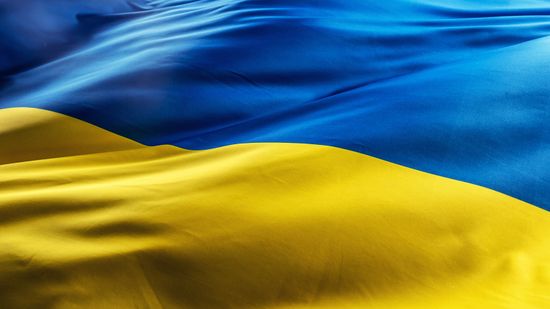 Which Places Have a Blue and Yellow Flag? There Are at Least 8