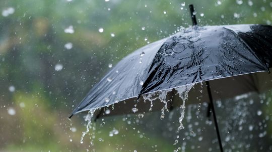 Why We Say It's 'Raining Cats and Dogs' When It's Literally Not