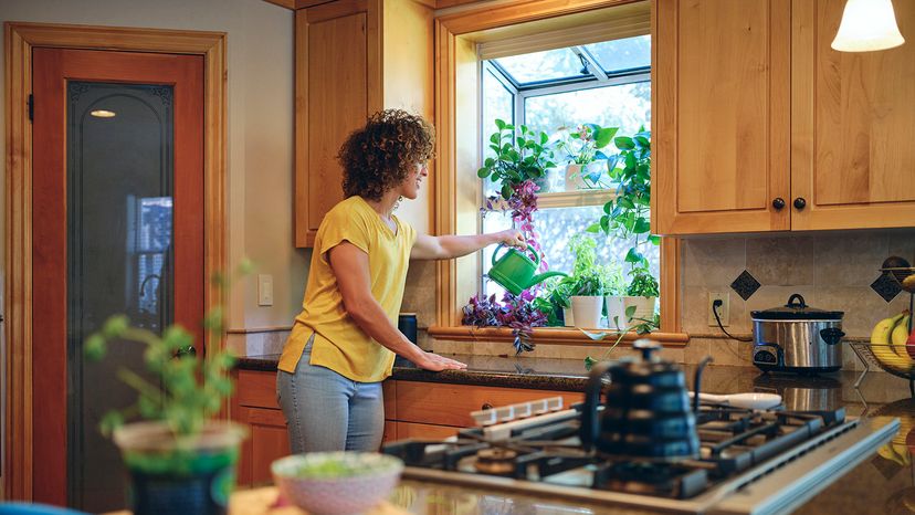 Garden window
