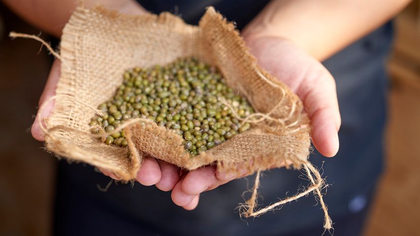 Mung beans