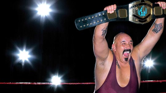 20 Longest WWE Title Reigns in Pro Wrestling History