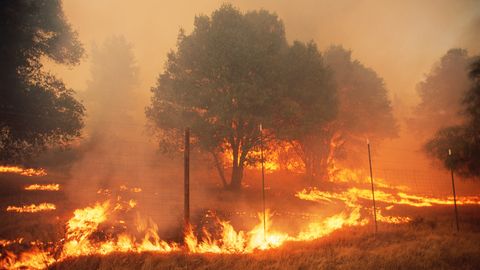 Where Wildfire Prevention Impacts People and Climate Most - Vimarsana News