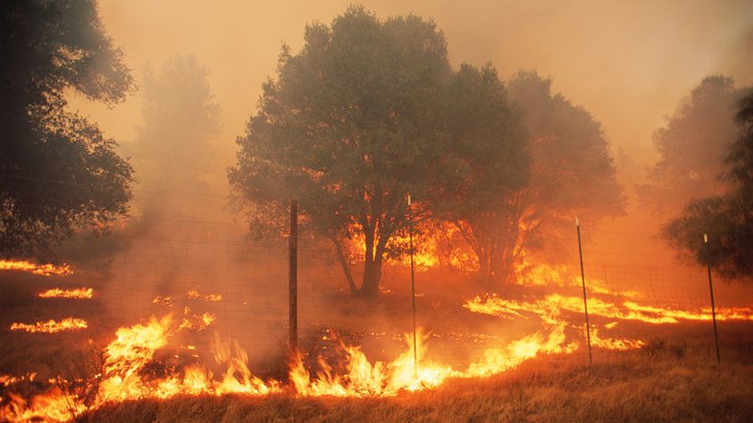 Fire rages through a fenced area in Sonoma County, California, USA