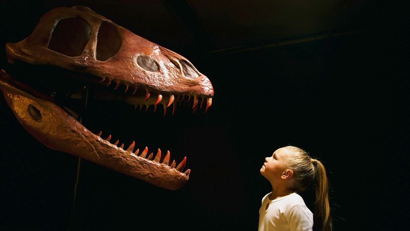Young girl facing a dinosaur skull with a black background