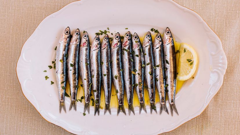 Anchovies