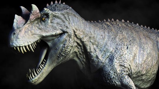 Ceratosaurus: The Horned Lizard of the Jurassic Period