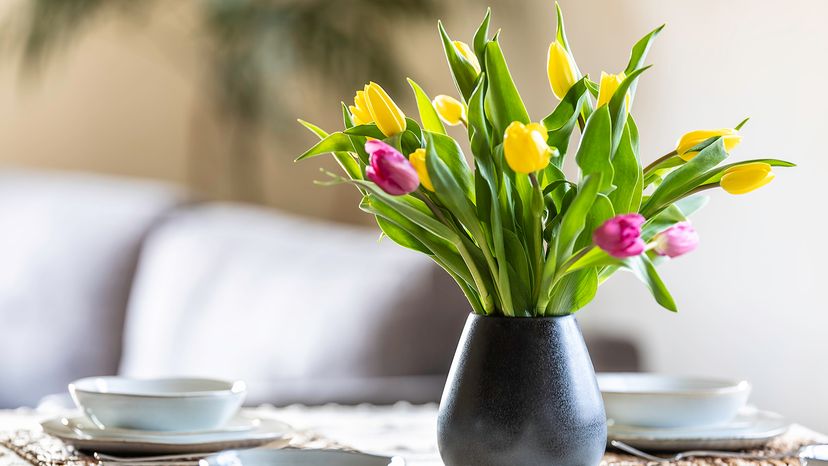 Tulips