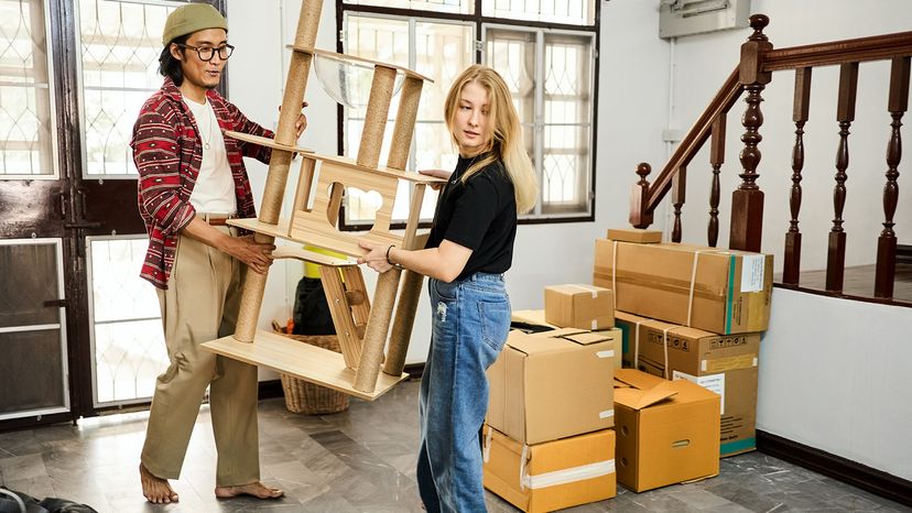 Couple carrying cat play house