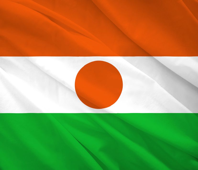 Niger flag