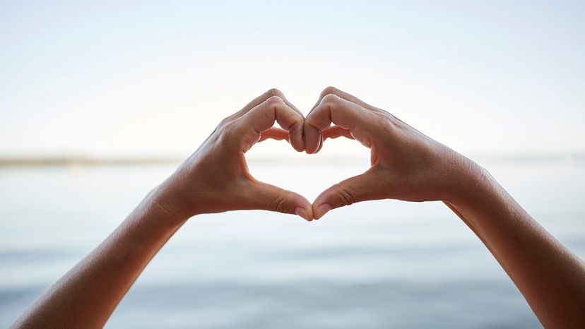 Hands of woman gesturing heart