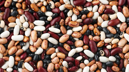 14 Types of Beans: Garbanzo, Adzuki, Cannellini and More