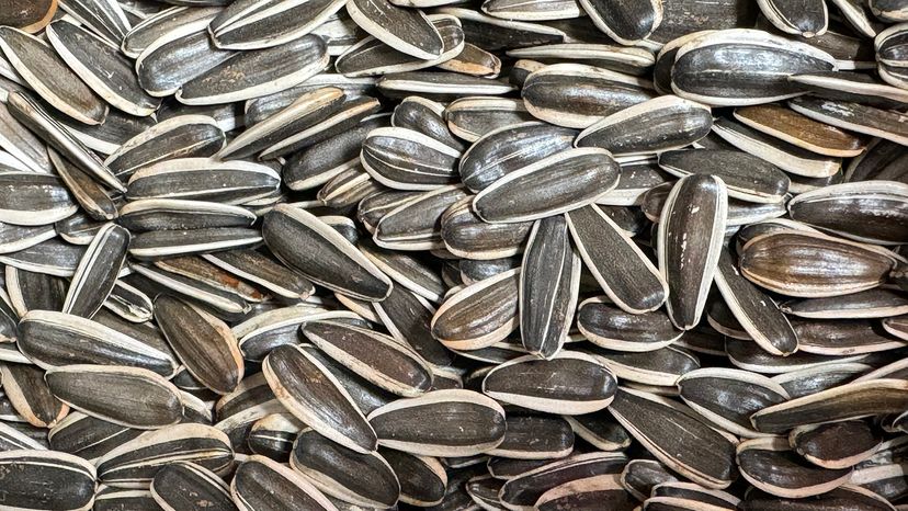 sunflower seeds