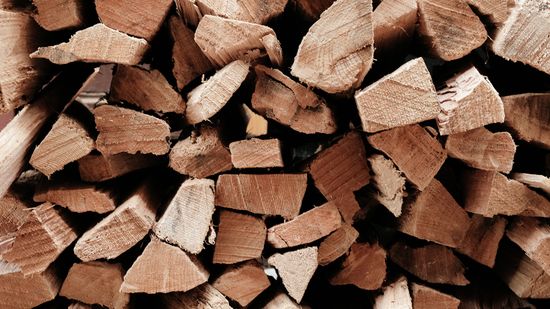 8 Types of Wood for Every Project