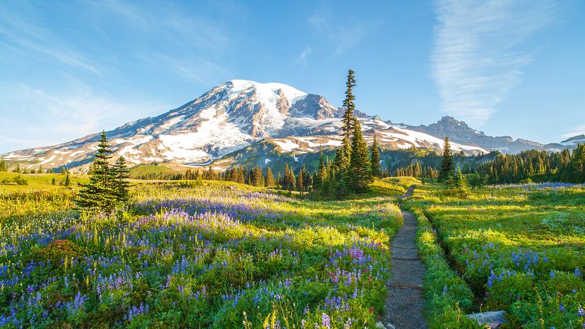 Mount Rainier, USA