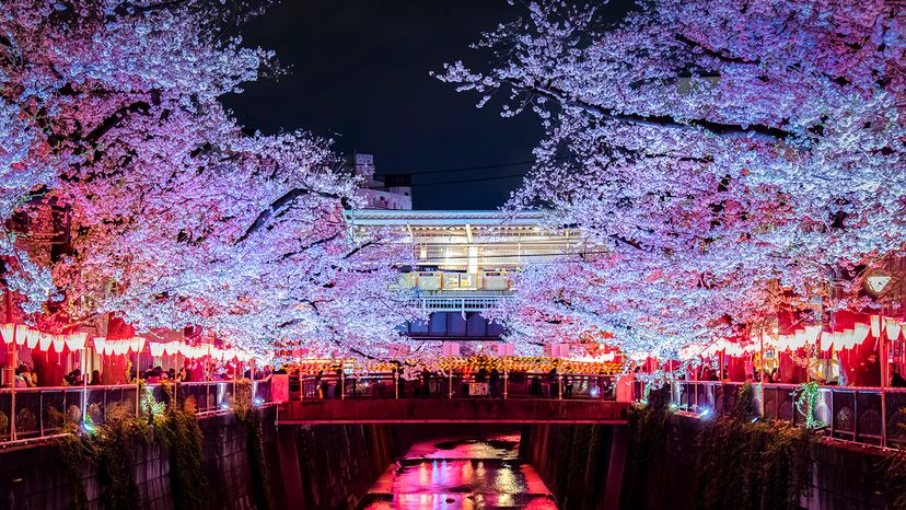 Hanami