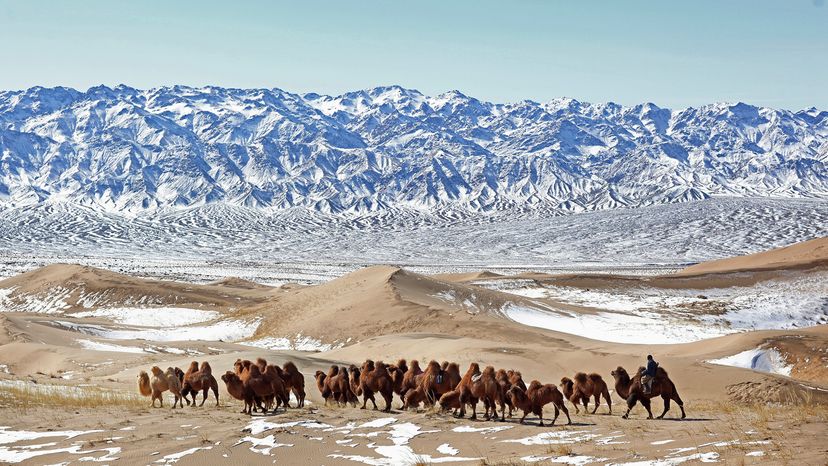 Mongolia