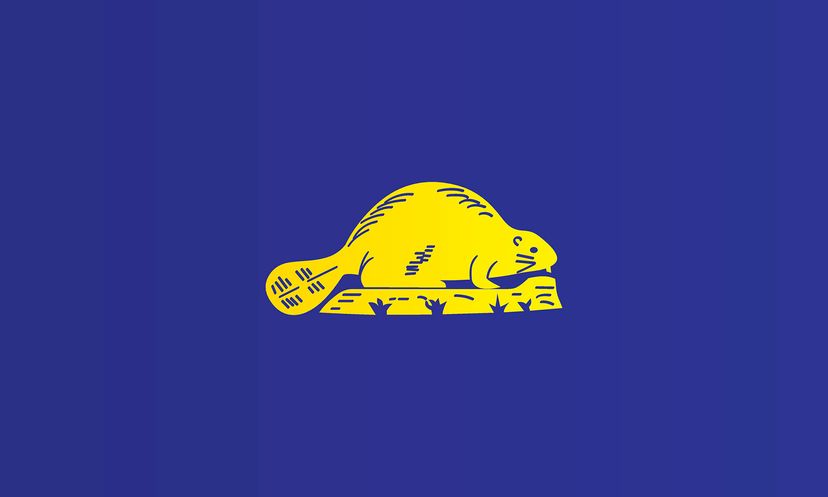 Back of Oregon flag