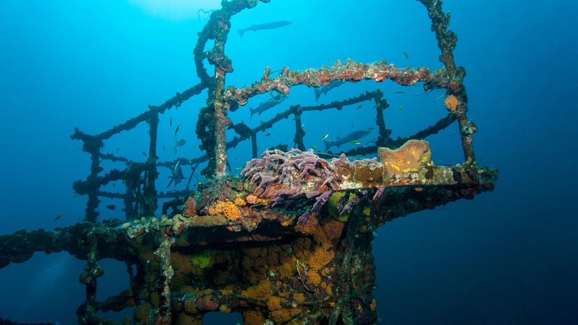 reef