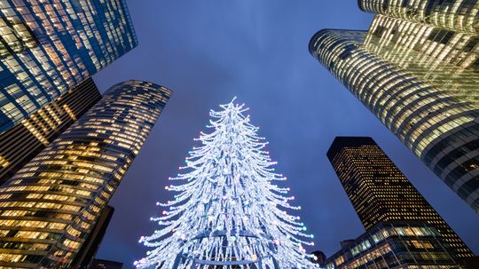 The Biggest Christmas Tree in the World Was 20 Stories Tall