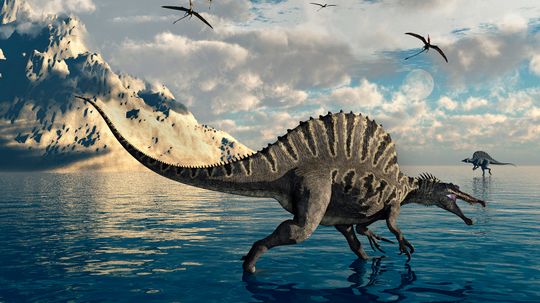 Spinosaurus Was a Good Floater but Lousy Swimmer