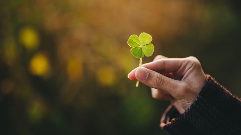 A young womans hand holding a backlighted four-leaf clover.