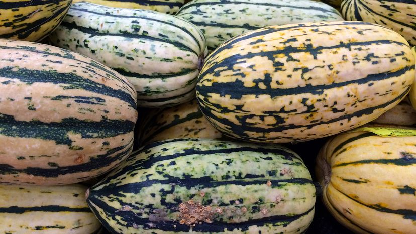 Delicata squash