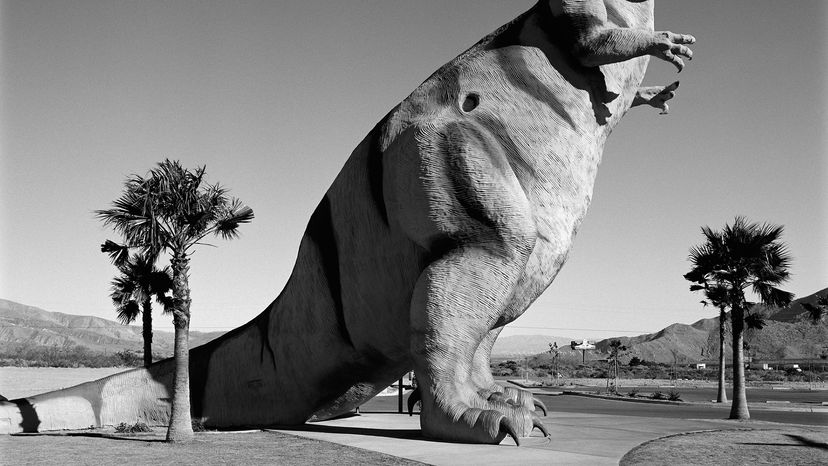 Black and white photo of a fake T-rex towering over palm trees