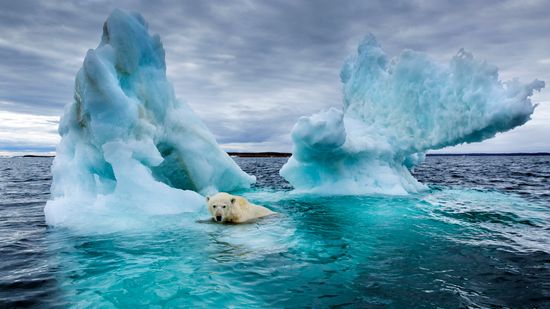 What Is the Arctic Circle? 9 Stone-cold Facts About the Region