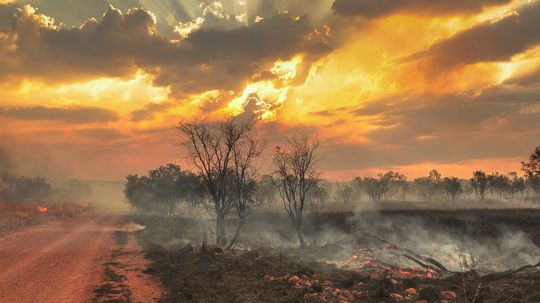 The Largest Wildfire in World History Burned 15% of a Continent