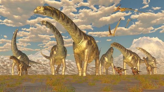 Argentinosaurus Was Almost Half as Long as a Football Field