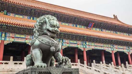 Foo Dog: A Mythical Mix of Lion and Chow Chow