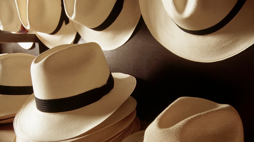Panama hats
