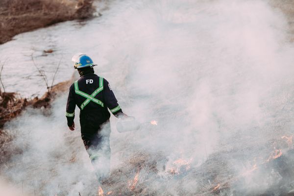 A firefighter walks among the smoke of a controlled burn with a fire starter in hand.