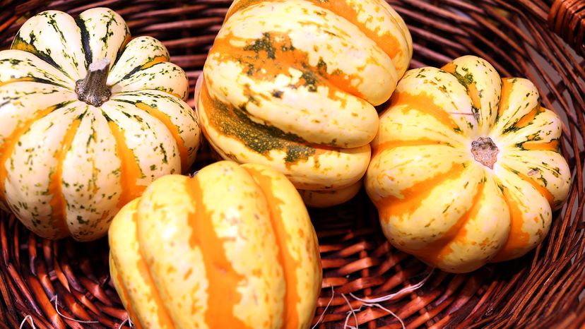 Carnival squash