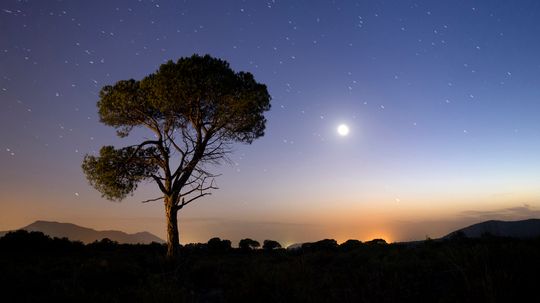 We Say &lsquo;Once in a Blue Moon&rsquo; But Blue Moons Aren&rsquo;t That Rare