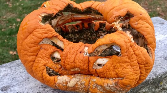 How to Keep Your Jack-o'-lantern From Rotting