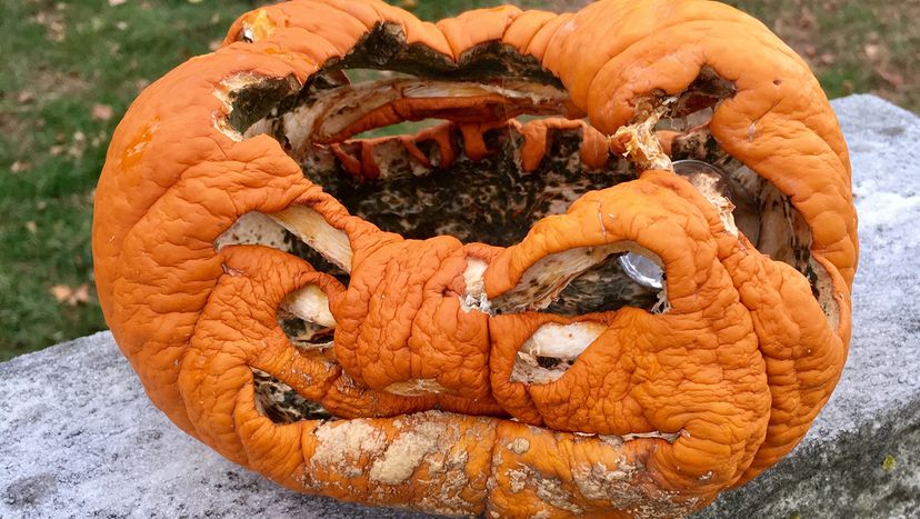 Rotten jack o lantern sitting on grave stone