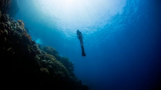 What Was the Deepest Free Dive Ever Recorded?