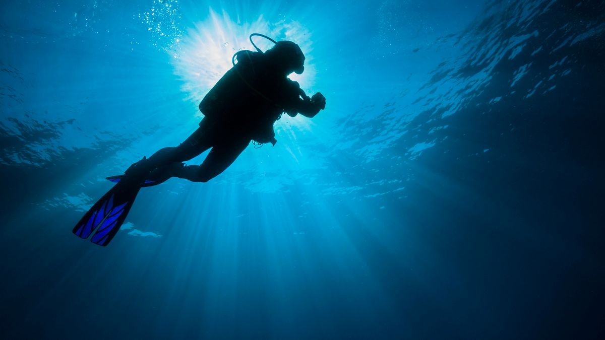 Was the Paria Diving Tragedy Preventable?