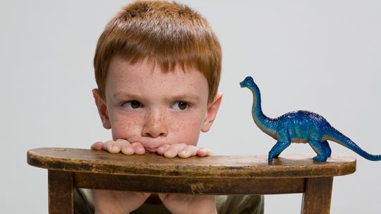 Are Dinosaurs Real? What We Know About the Extinct Creatures