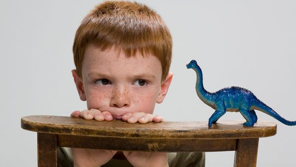 Child peers at a toy dinosaur