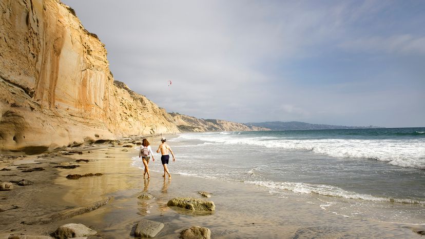 Black's Beach
