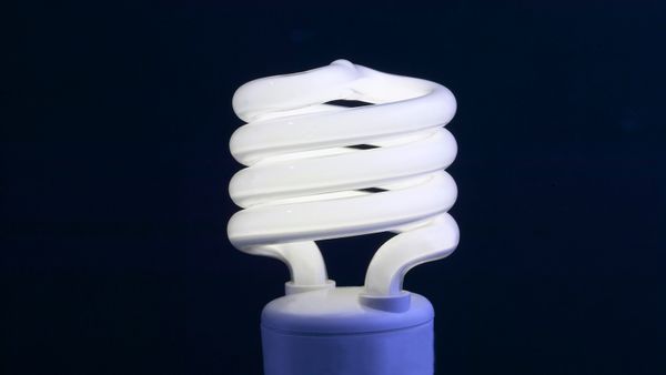 A spiraled CFL bulb lit up against a black background