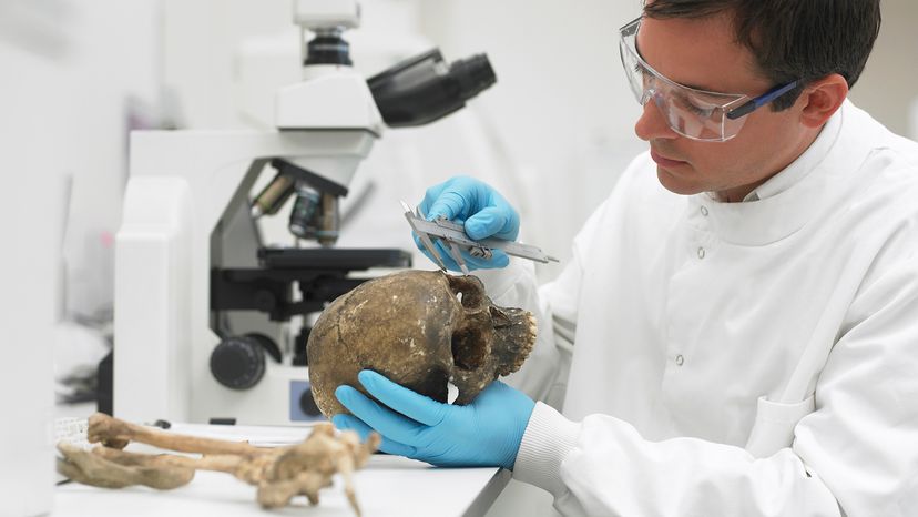 Man in lab coat measuring a decayed skull in a white laboratory