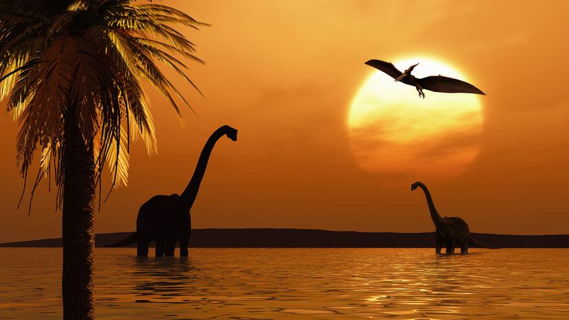 Silhouette of three dinosaurs at sunset