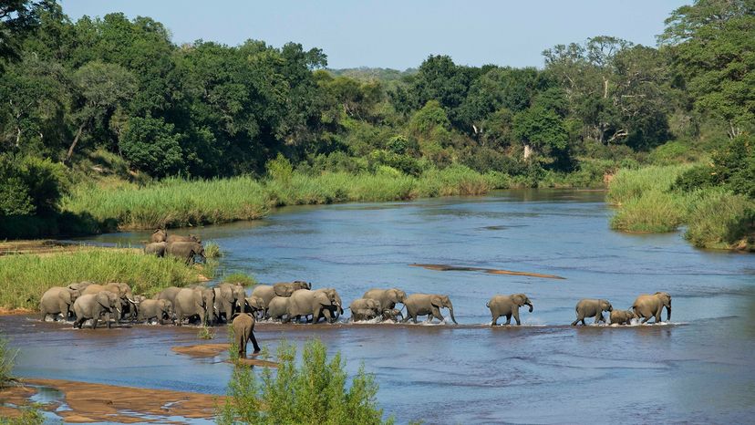 Kruger National Park