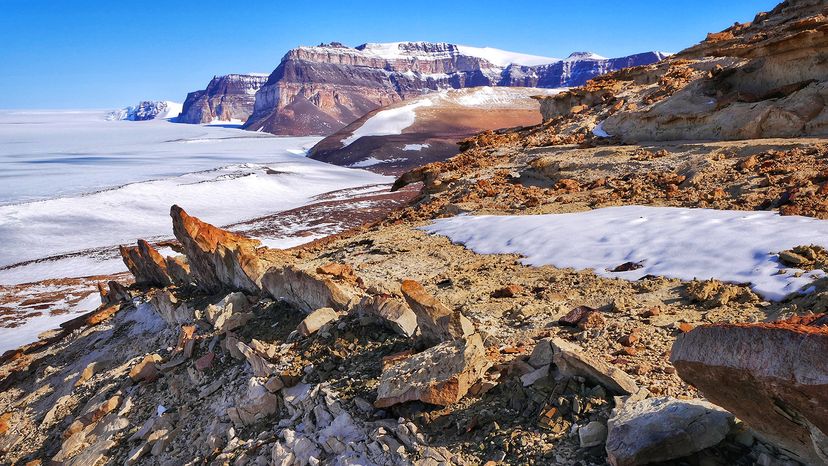 The McMurdo Dry Valleys