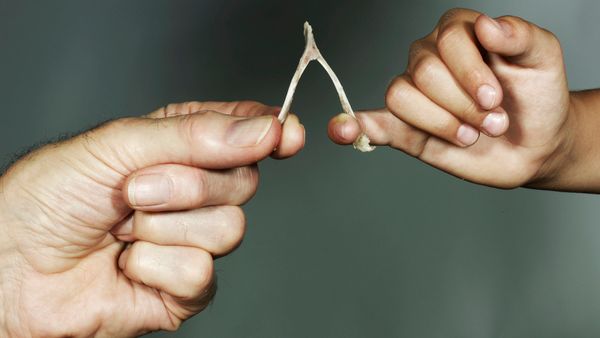 An older hand pinches a wishbone while a younger hand hooks it with the pinky