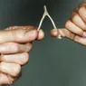Why Are Wishbones Supposed to be Lucky?